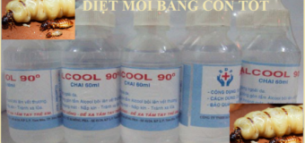 Diệt mối mọt bằng cồn giá rẻ