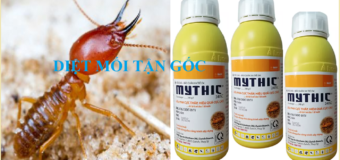 Diệt mối tận gốc Trần Anh giá rẻ