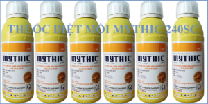 Diệt mối tại Cà Mau