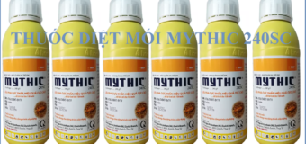 Diệt mối tại Cà Mau