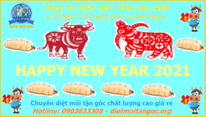 Cty diệt mối Vân Lan Anh chào mừng năm mới 2021