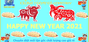 Cty diệt mối Vân Lan Anh chào mừng năm mới 2021