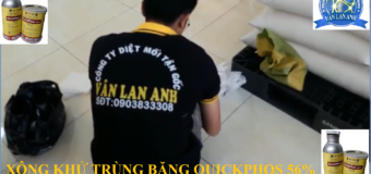Cách diệt mối mọt tận gốc