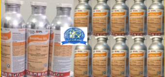 Thuốc khử trùng mối mọt Quicphos 56%