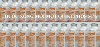 Thuốc xông một mọt Quickphos 56% bán ở đâu