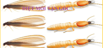 Diệt mối Urentek