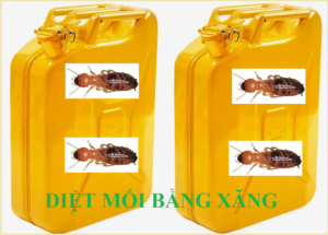 Diệt mối bằng xăng rẻ