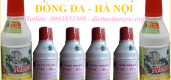 Diệt mối 111 Láng Hạ – Hà Nội