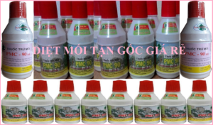Diệt mối 101 Láng Hạ
