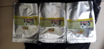Diệt mối ở quận 1 rẻ