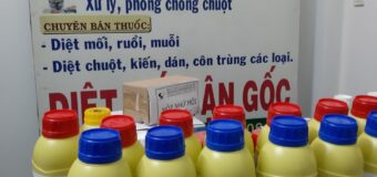 Thuốc diệt mối Quận 8 rẻ