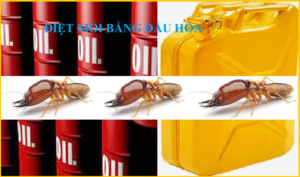 Diệt mối bằng dầu hỏa giá rẻ