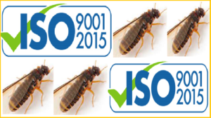 Diệt mối tại nhà chuẩn ISO9001 - 2015