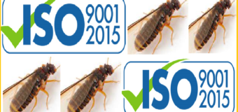 Diệt mối tại nhà chuẩn ISO9001 – 2015