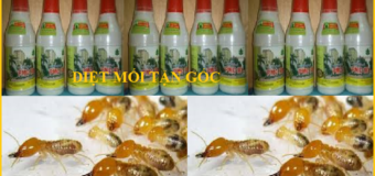 Lam sao de diet moi tan goc gia re 24
