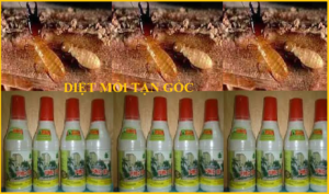 Diệt mối Đại Toàn Việt rẻ