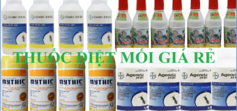 Mua thuốc diệt mối giá rẻ