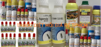 Mua thuốc diệt mối ở đâu tại tphcm