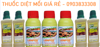 Thuốc diệt mối ở TPHCM
