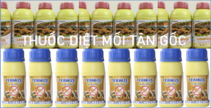Diệt mối tận gốc tại TPHCM 24h rẻ