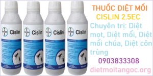 Dia chi diet moi tai TPHCM 24