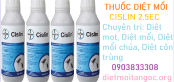 Dia chi diet moi tai TPHCM 24