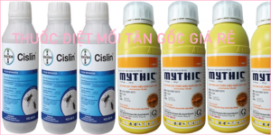 Diệt mối giá rẻ Đà Nẵng