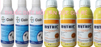 Diệt mối giá rẻ Đà Nẵng