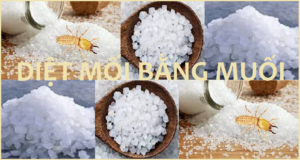 Diệt mối bằng muối rẻ