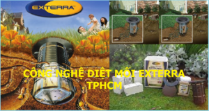 Công nghệ diệt mối Exterra rẻ nhất