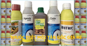 Thuốc diệt mối Đà Nẵng rẻ