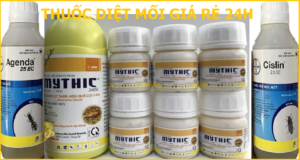 Thuốc diệt mối Đà Nẵng rẻ nhất