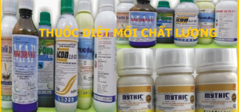 Thuốc diệt mối Đà Nẵng rẻ