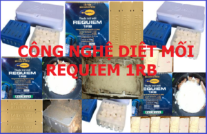 Diệt mối tận gốc theo công nghệ Mỹ 2