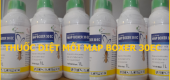 Thuốc diệt mối Map Boxer 30EC giá rẻ