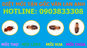 Diệt mối tận gốc siêu nhanh 