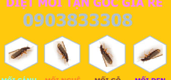 Diệt mối chúa tận gốc giá rẻ