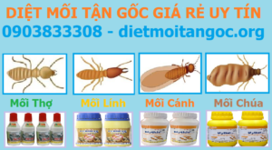 Diệt mối tận gốc dân gian giá rẻ