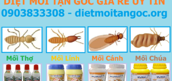 Diệt mối tận gốc dân gian giá rẻ