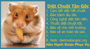 Diệt chuột tận gốc giá rẻ nhất