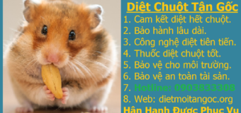 Diệt chuột tận gốc giá rẻ nhất