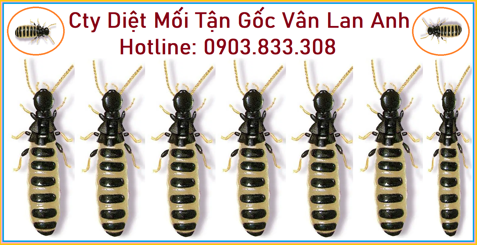 Diet moi gia re khong doc hai