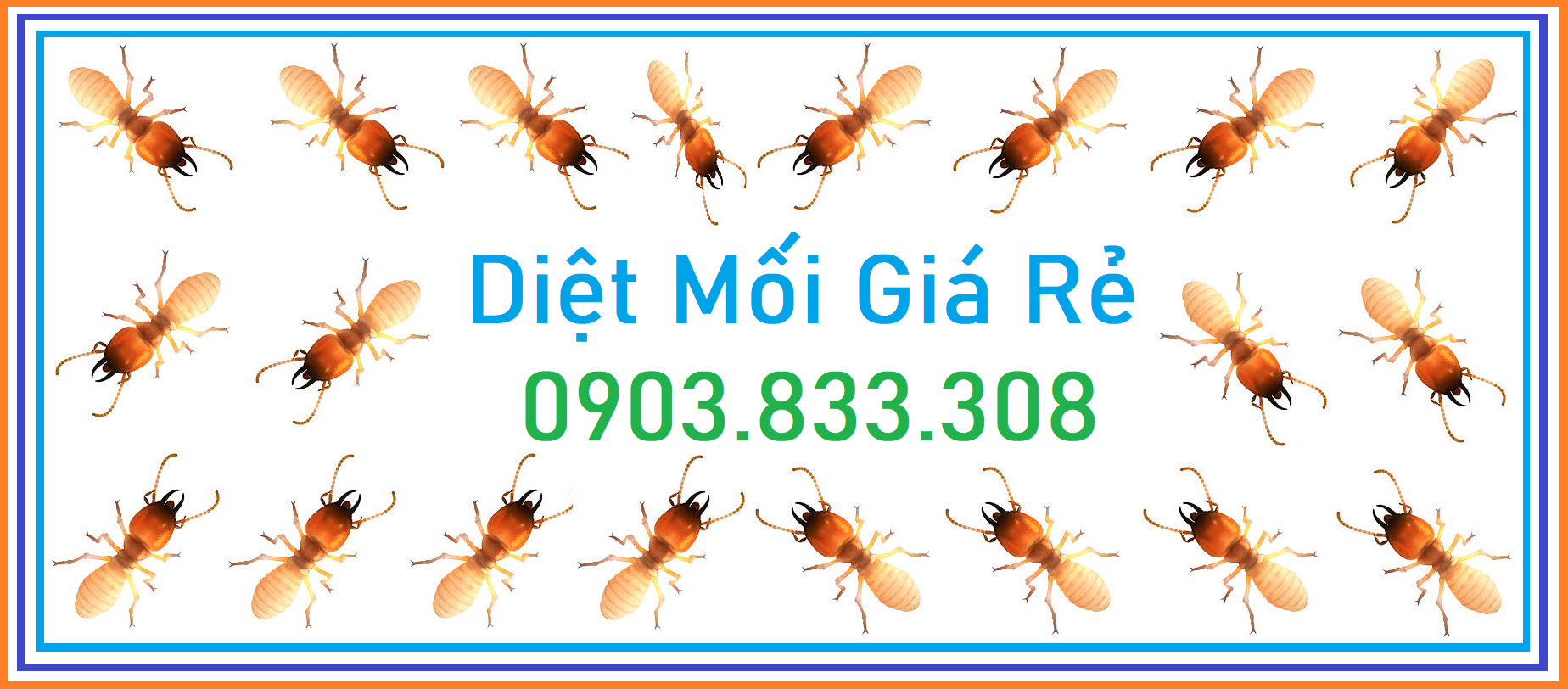 Diệt mối Sài gòn Giá rẻ 247