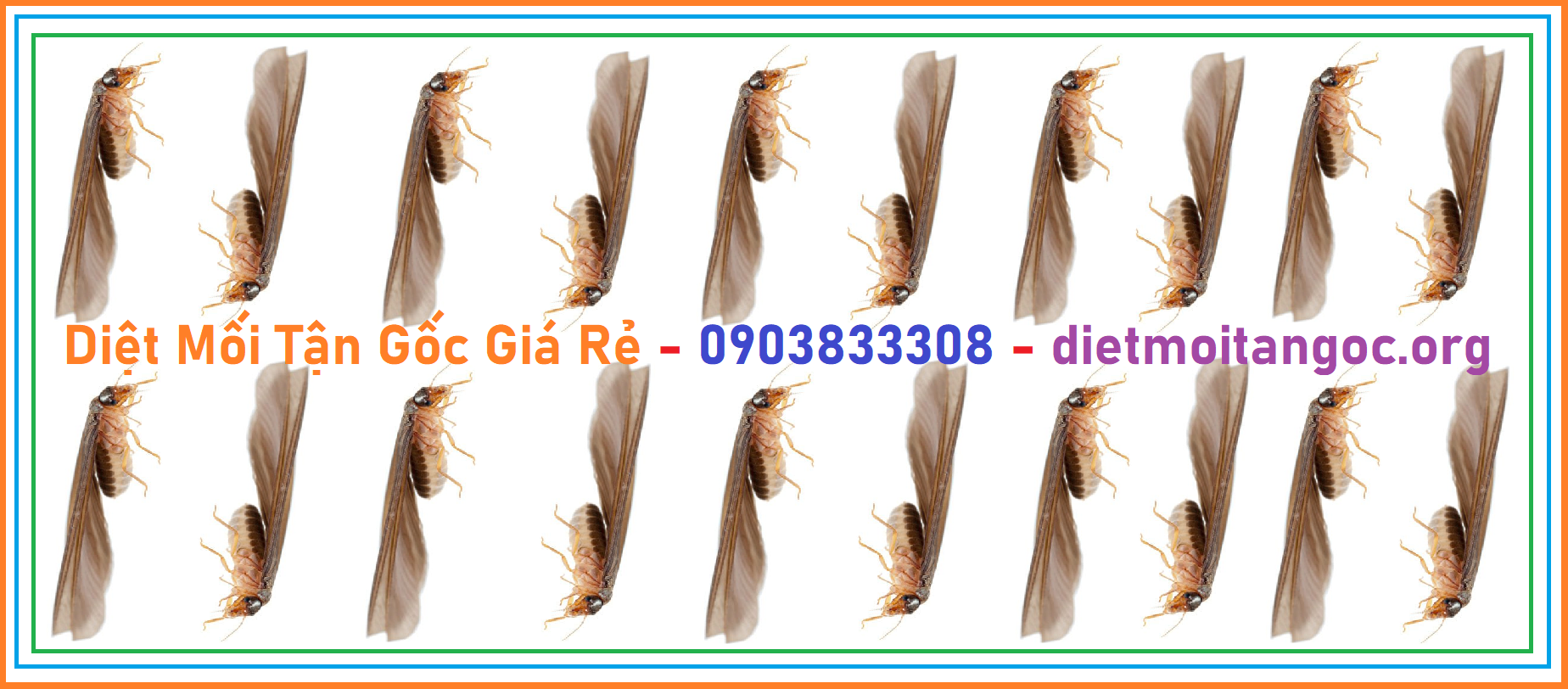 Diệt mối Giá rẻ Tân Bình