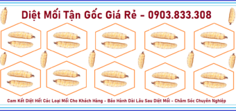 Diệt mối Sài Gòn Giá rẻ 247h