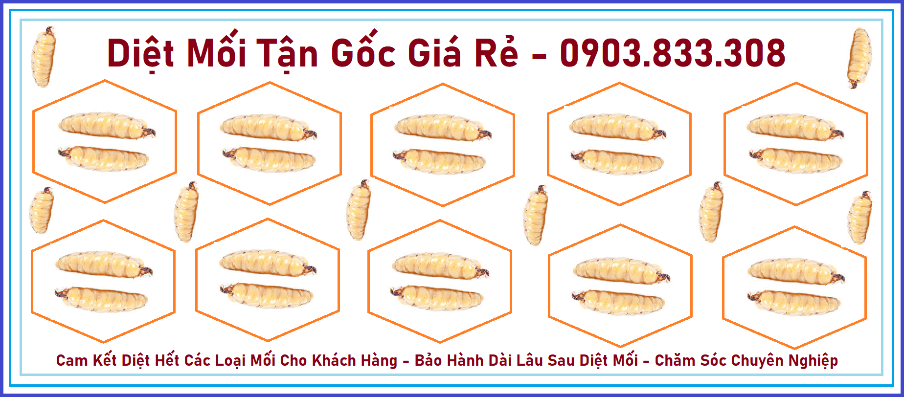 Diệt mối Sài Gòn Giá rẻ 247h