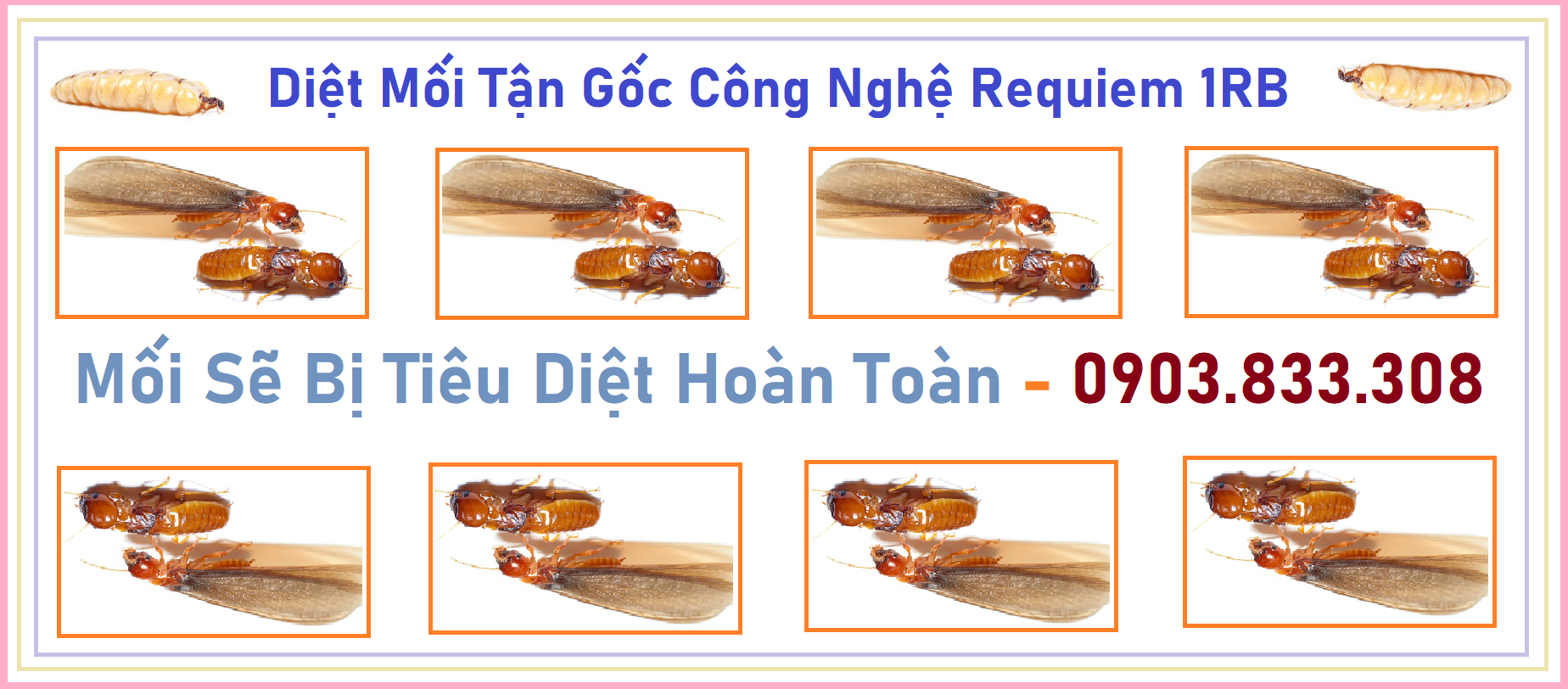 Diệt mối Giá rẻ Quận 12 24h