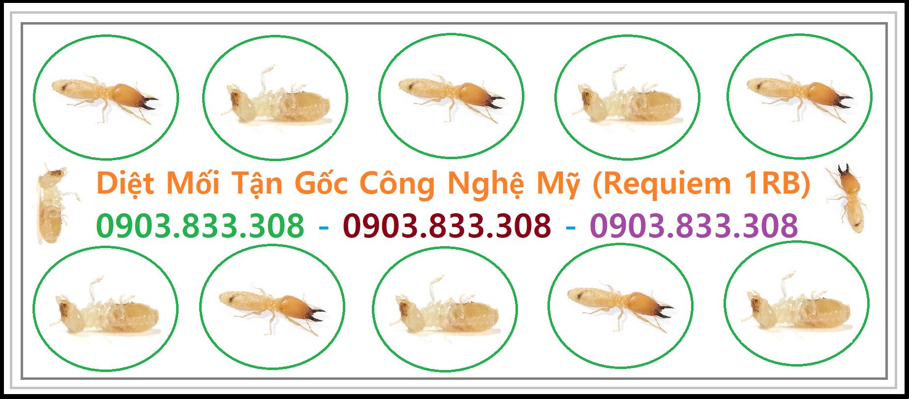 Diệt mối Giá rẻ Hóc Môn