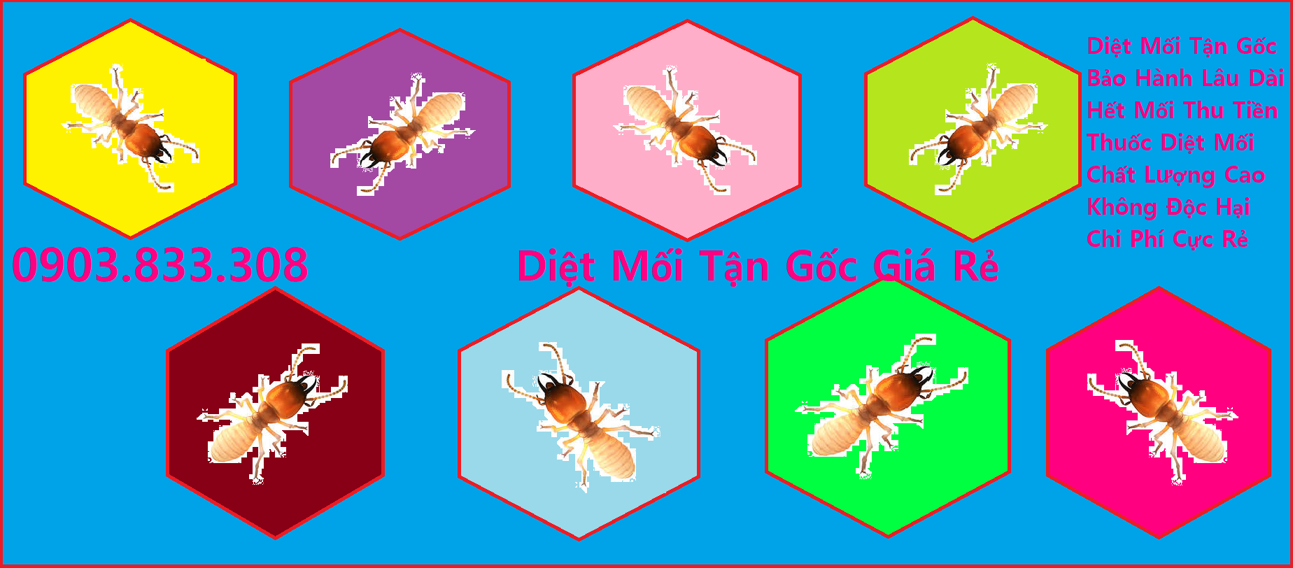 Diệt mối Tận gốc Giá rẻ Quận 12