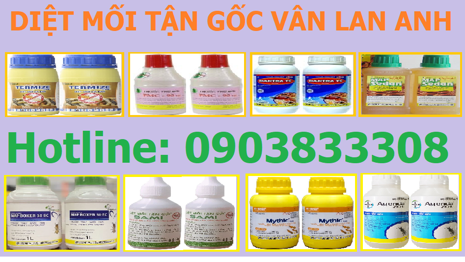 Thuốc diệt Mối giá rẻ Sài gòn